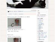 Tablet Screenshot of cat.kkf.co.jp